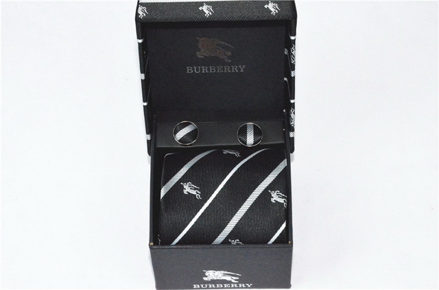 Burberry Ties 43